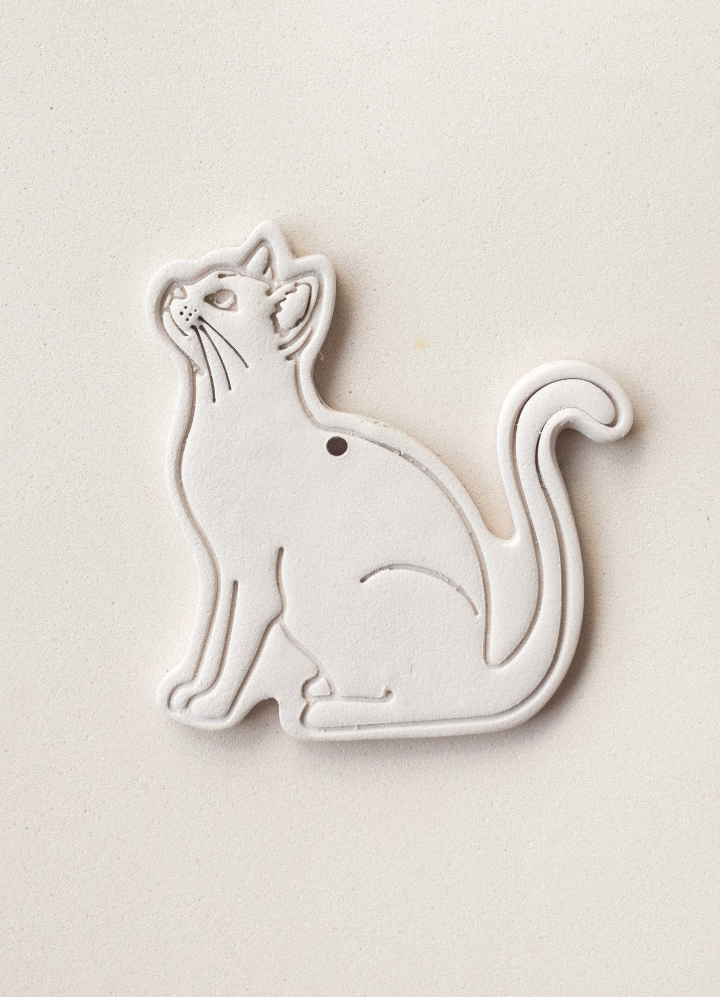 GATO CUERPO