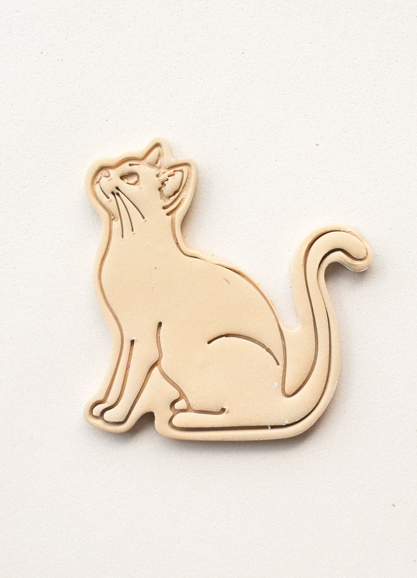 GATO CUERPO
