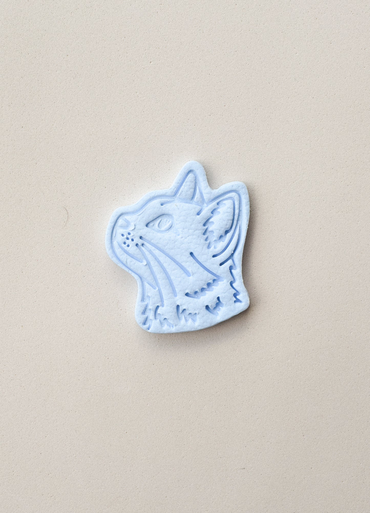 GATO CARA