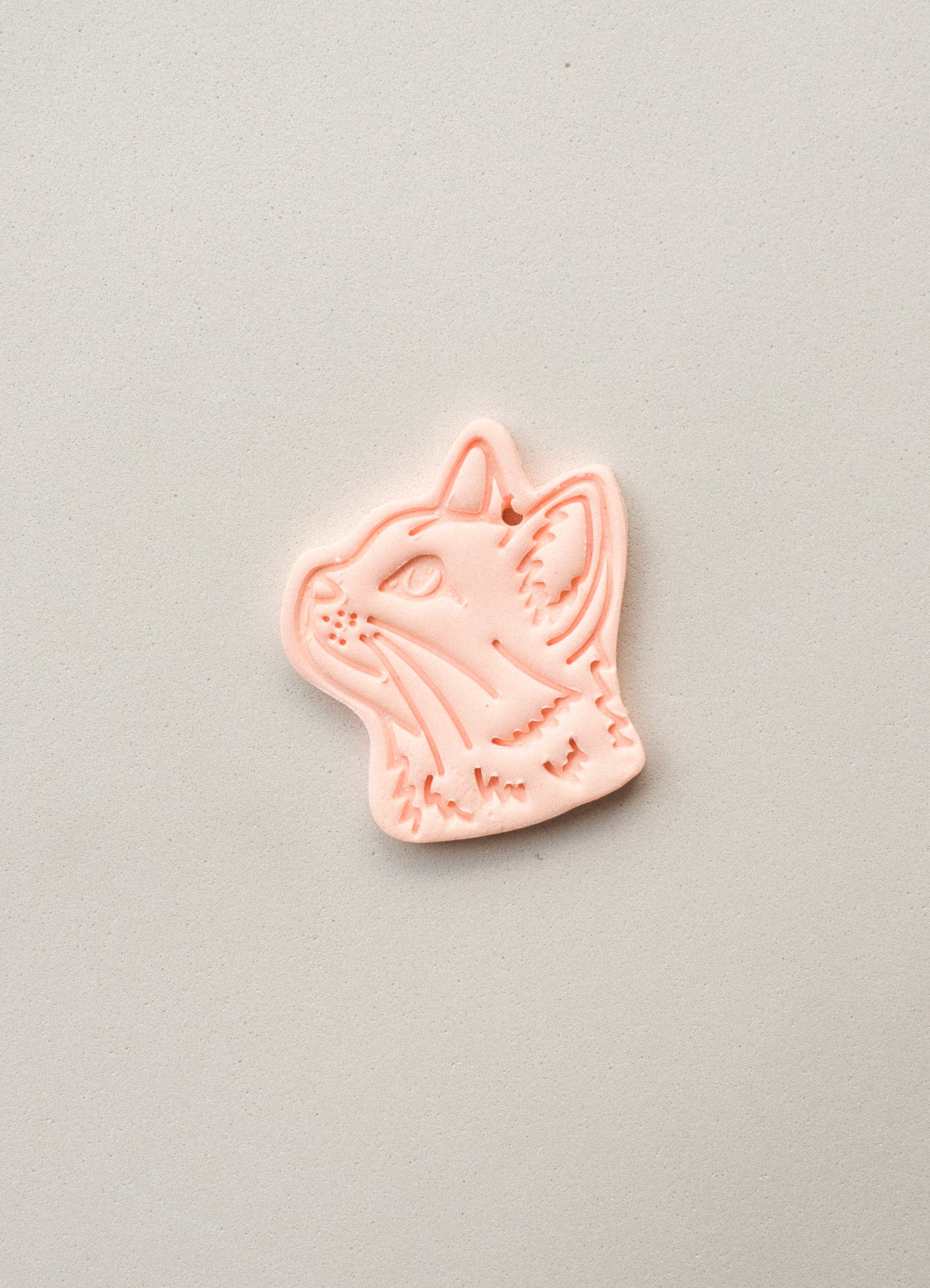 GATO CARA