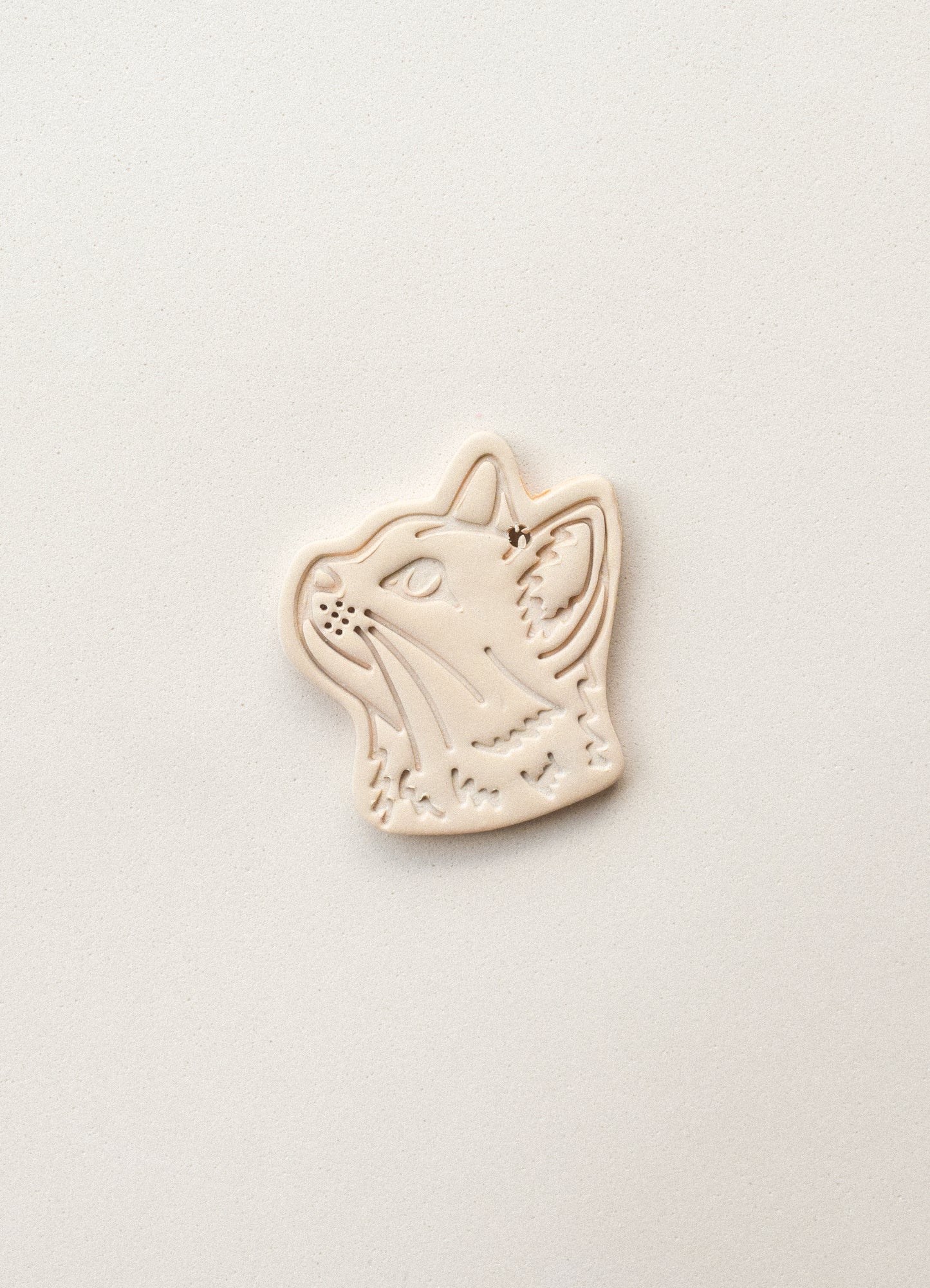 GATO CARA