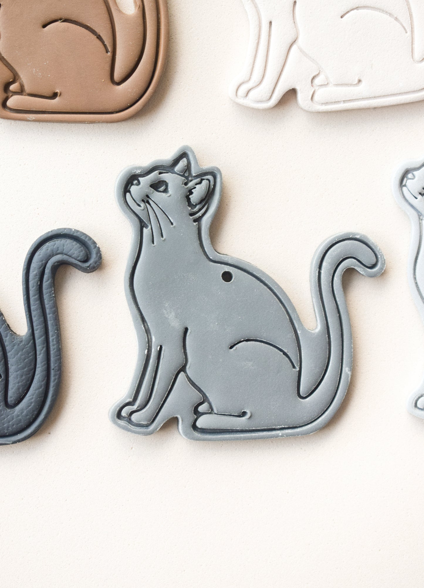 GATO CUERPO