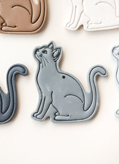 GATO CUERPO