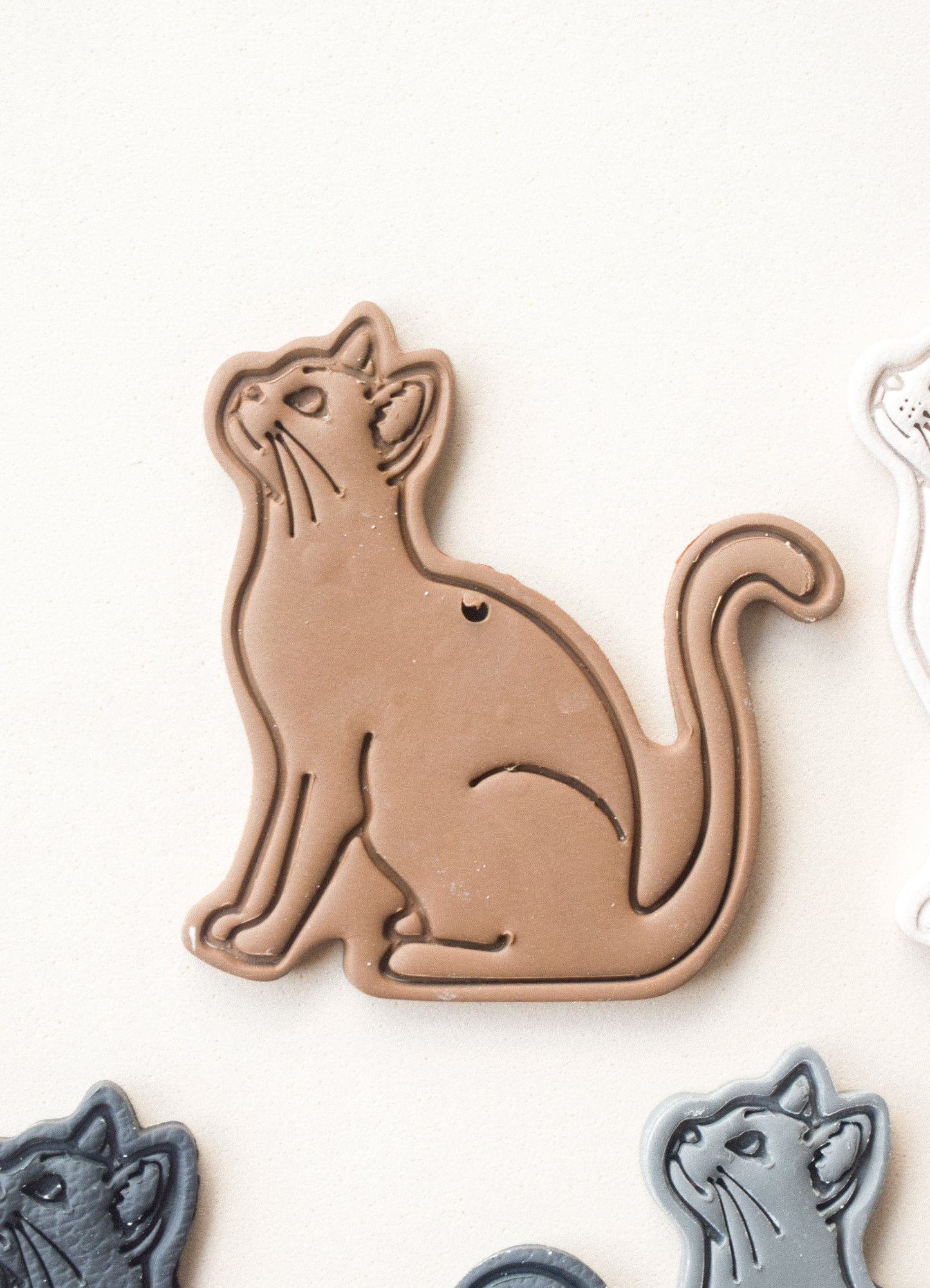 GATO CUERPO