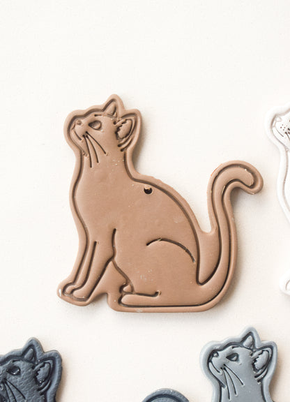 GATO CUERPO