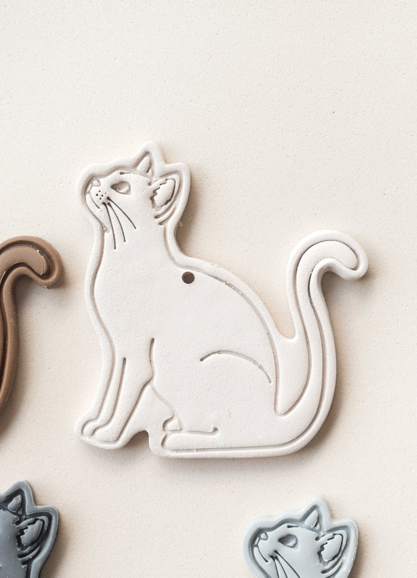 GATO CUERPO