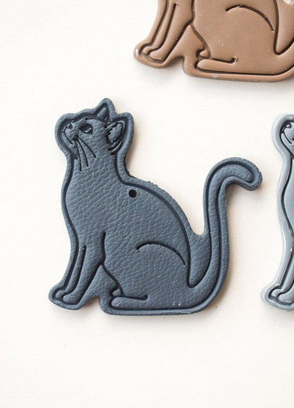 GATO CUERPO