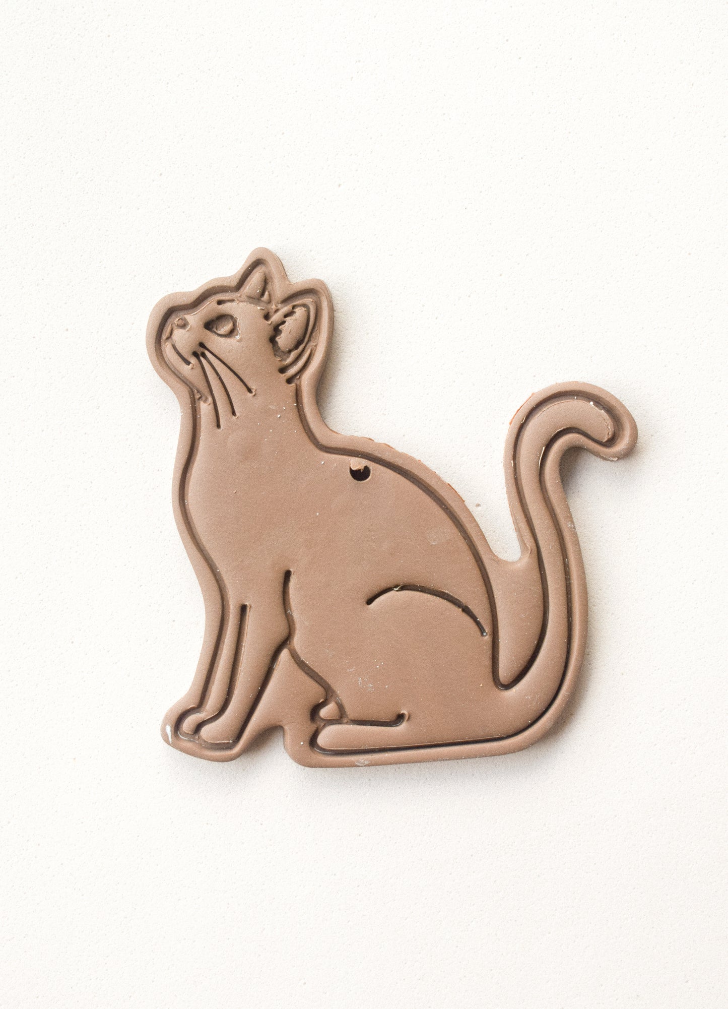 GATO CUERPO