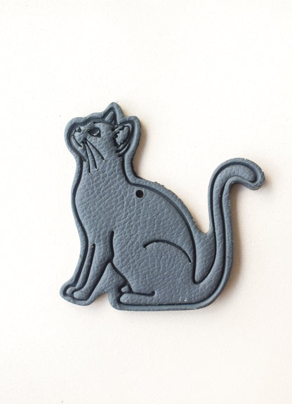 GATO CUERPO