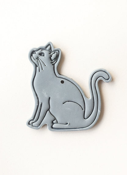 GATO CUERPO