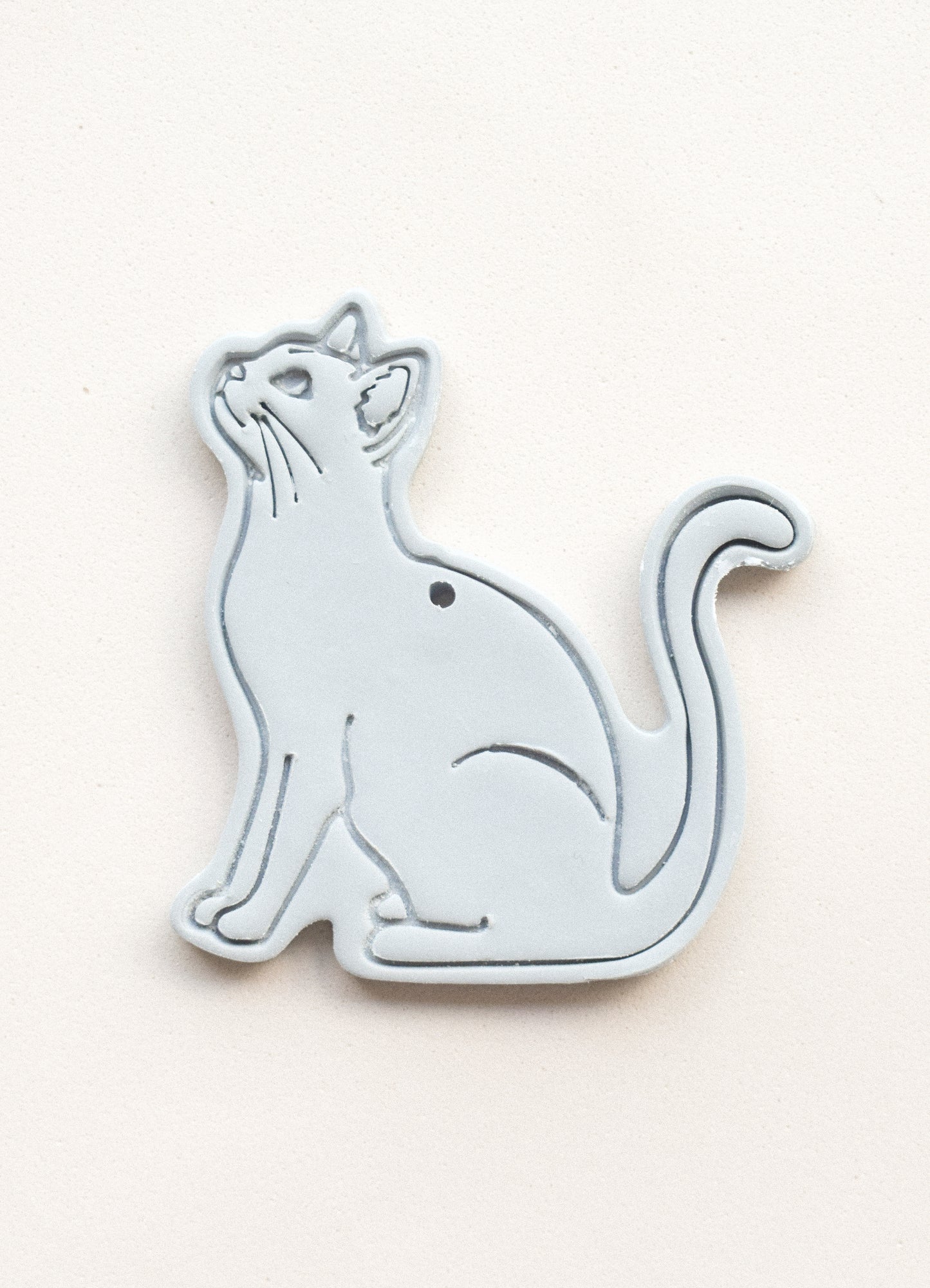 GATO CUERPO