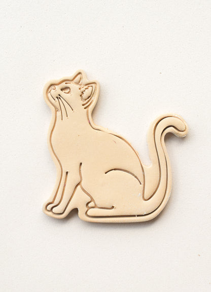 GATO CUERPO