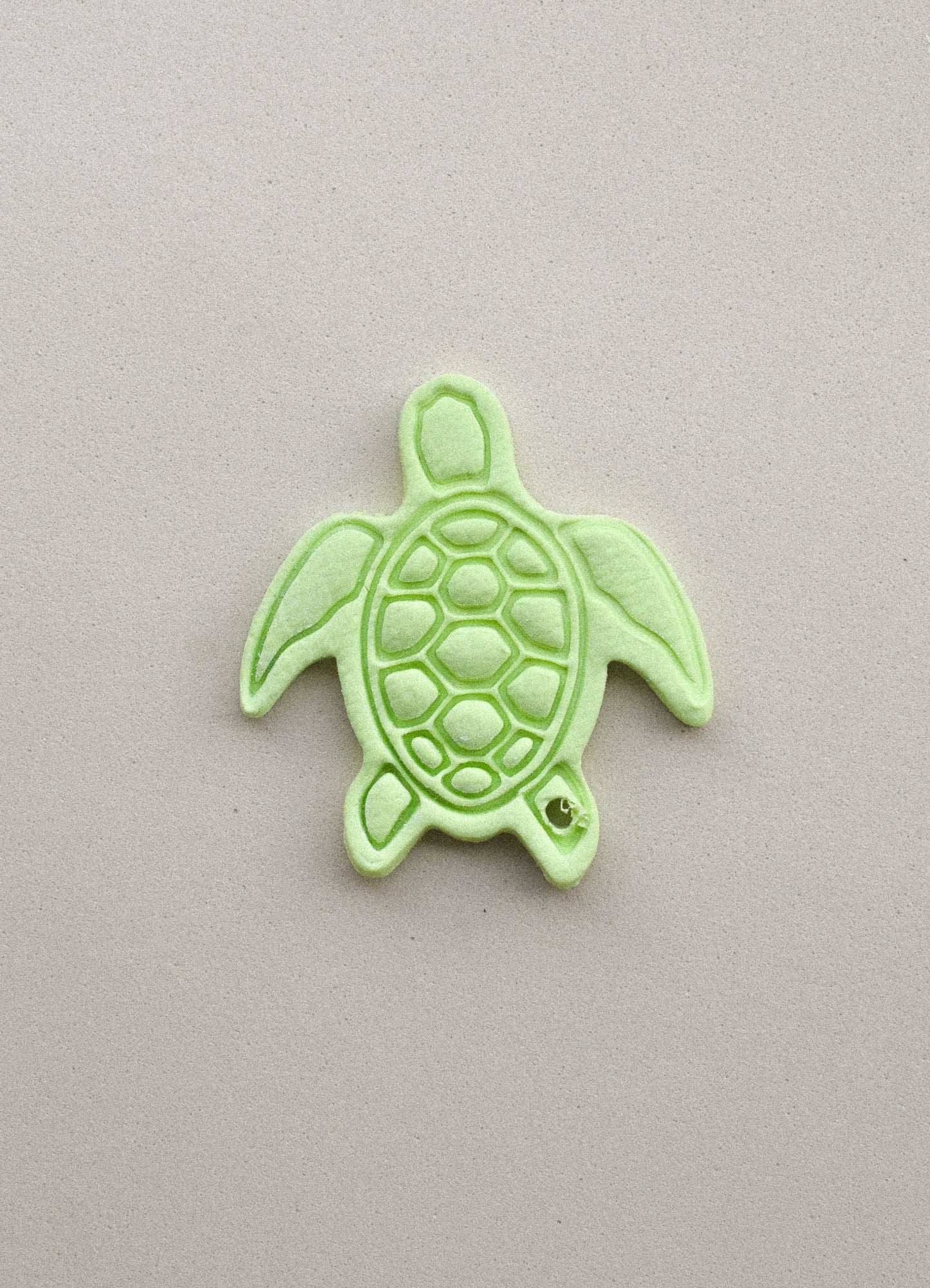 TORTUGA