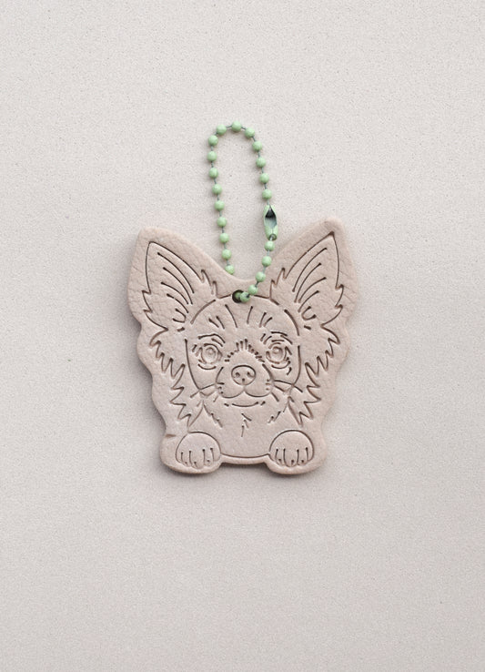 CHIHUAHUA PELUDO
