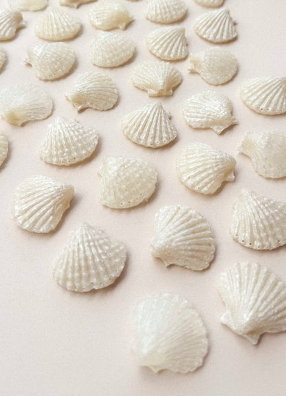 ARETAS BRISA