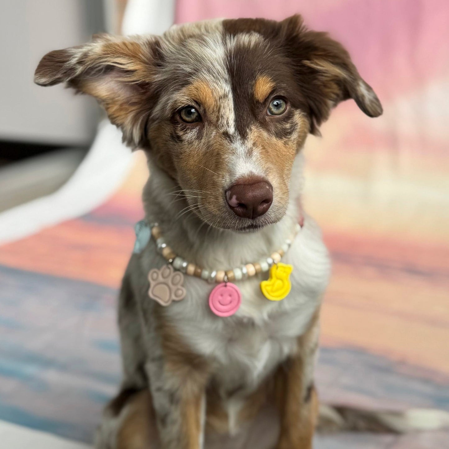 COLLAR PIEDRAS PALO DE ROSA
