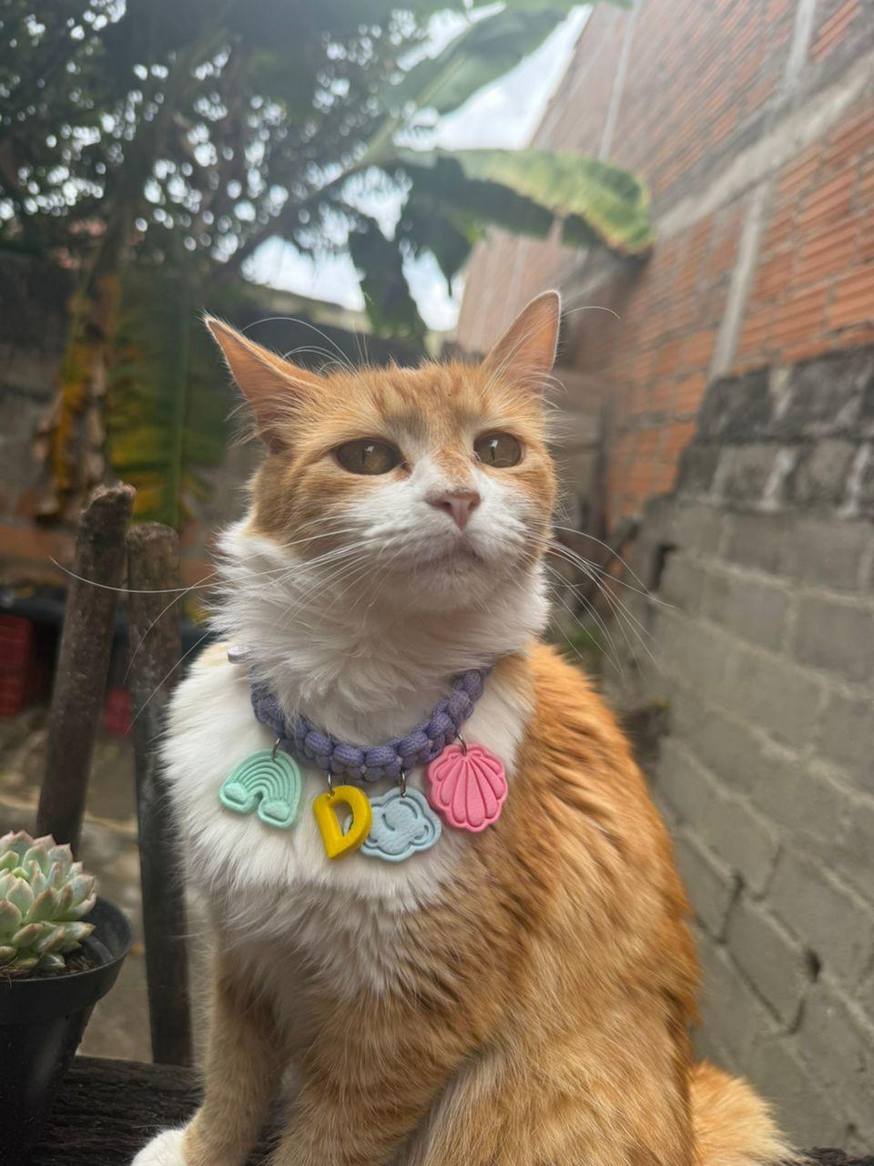 COLLAR PERSONALIZADO