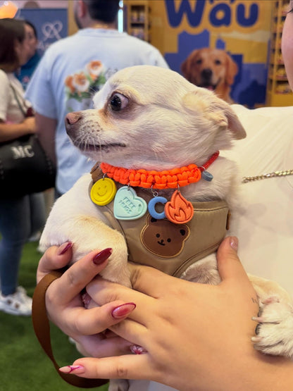 COLLAR PERSONALIZADO